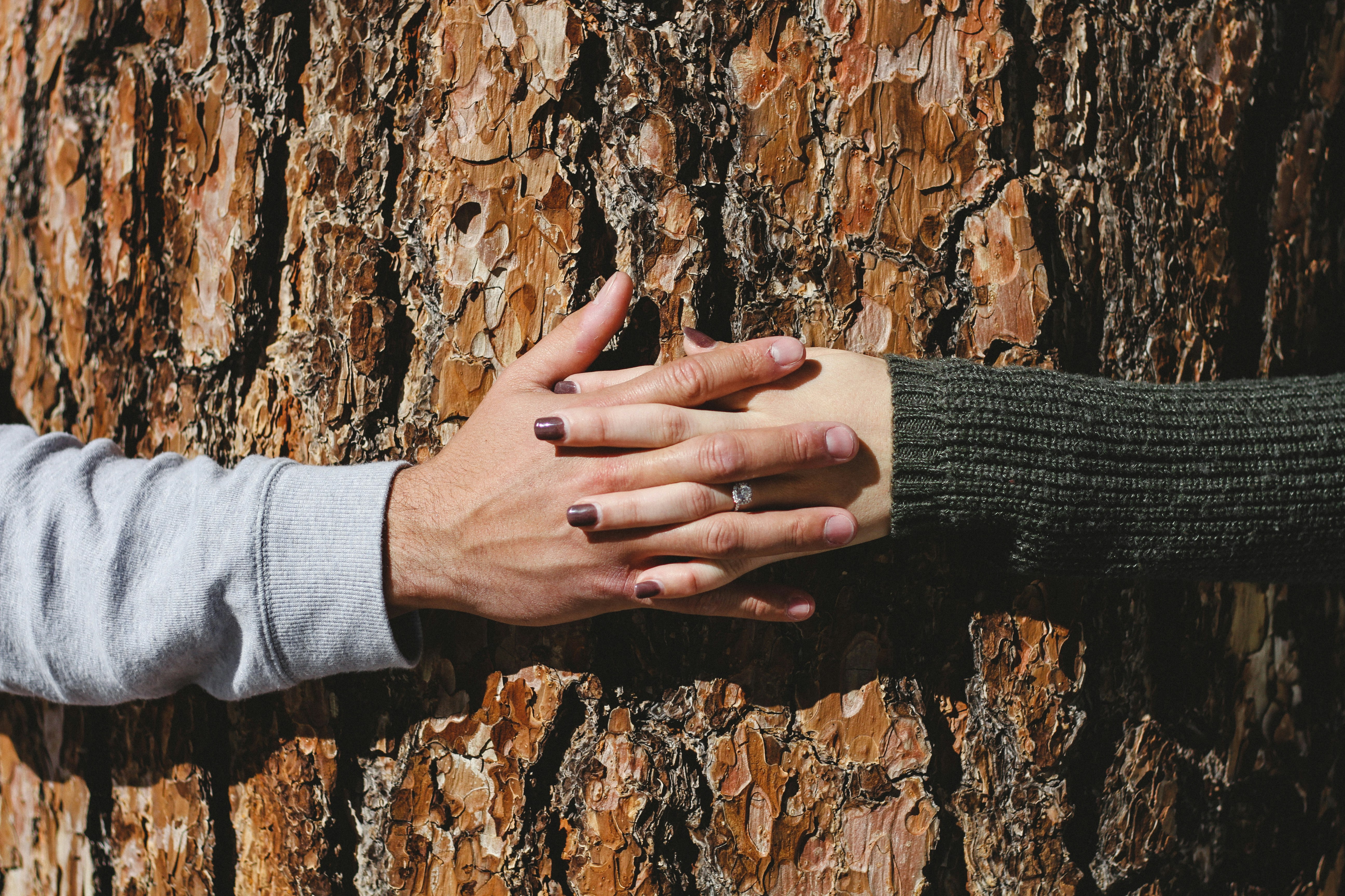 man and woman hand connecting on tree trunk